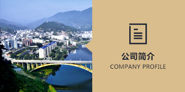 公司简介